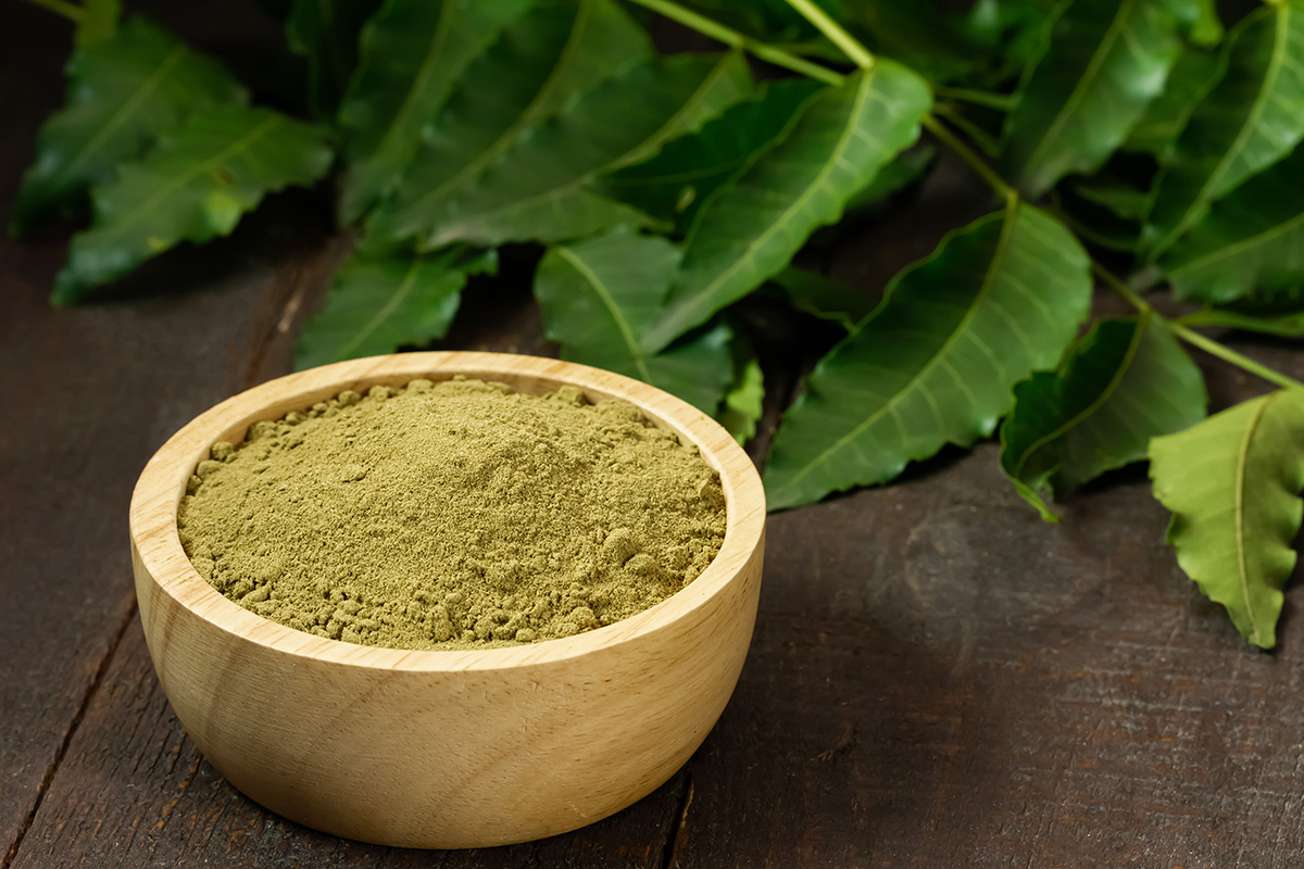 Neem polvere